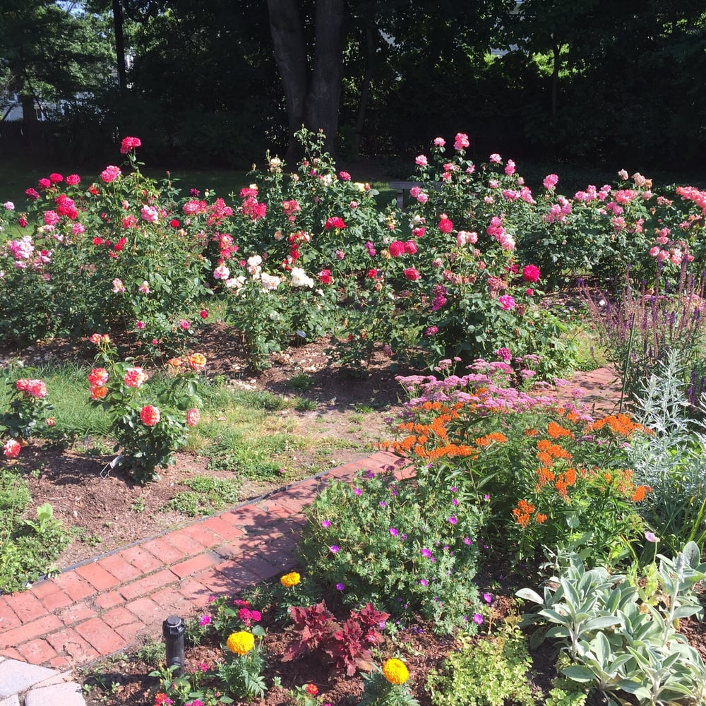 Avis Campbell Gardens Botanical Gardens 60 S Fullerton Ave