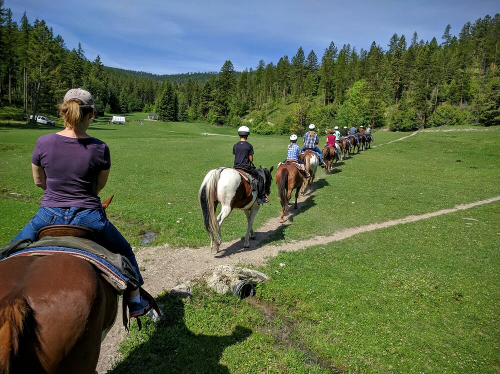 Artemis Acres Paint Horse Ranch 24 Photos & 23 Reviews Horseback