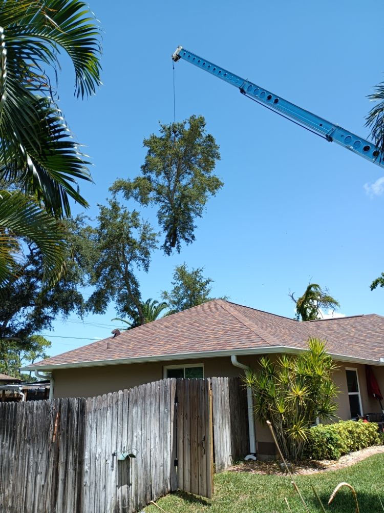 Deans Tree Service