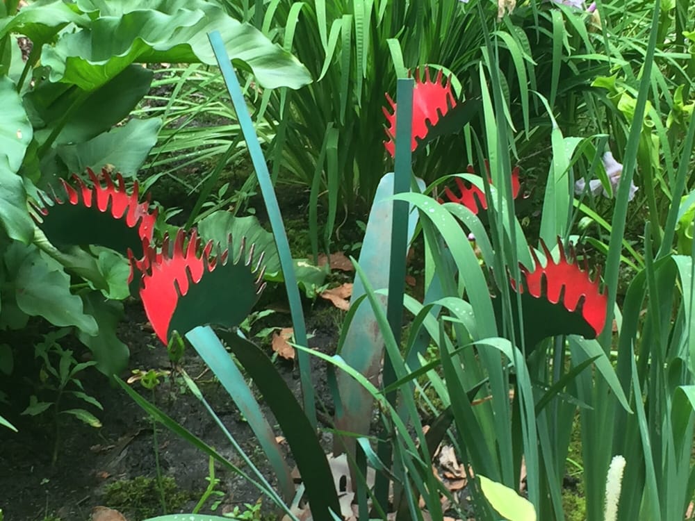 Plant Delights Nursery 12 Reviews Nurseries & Gardening 9241