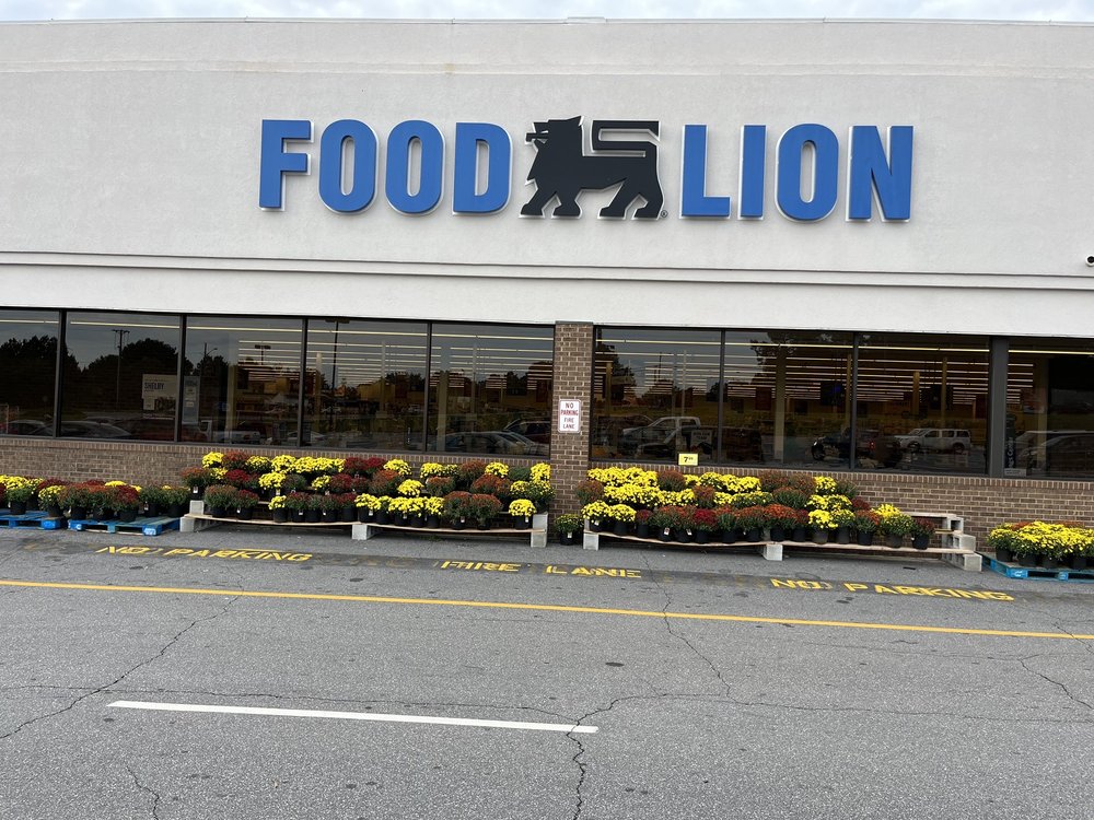 Food Lion Inc-Store #707