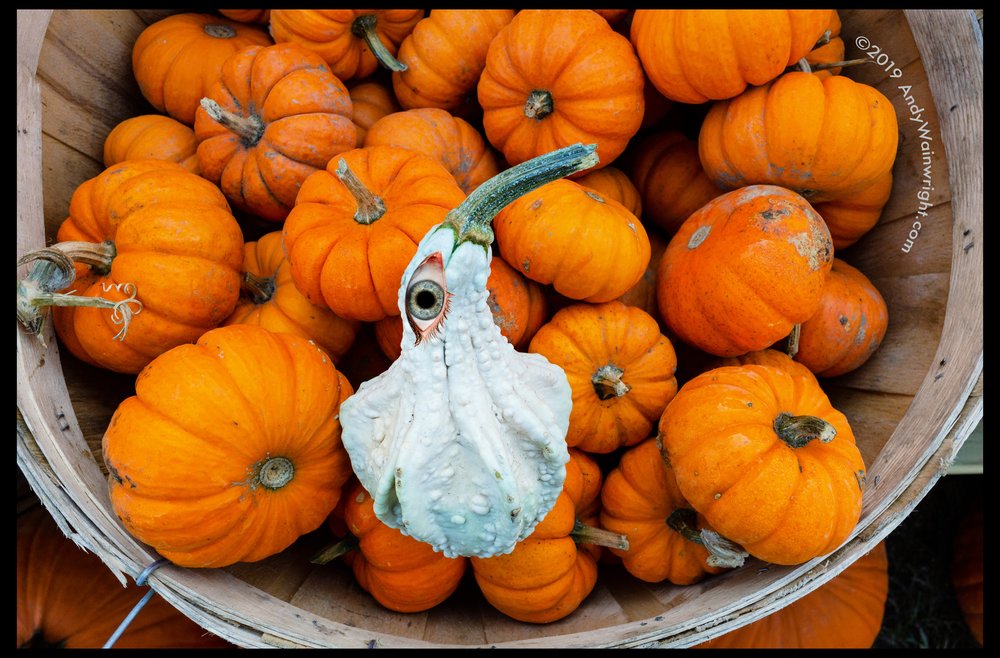 Hudson Farmers' Market