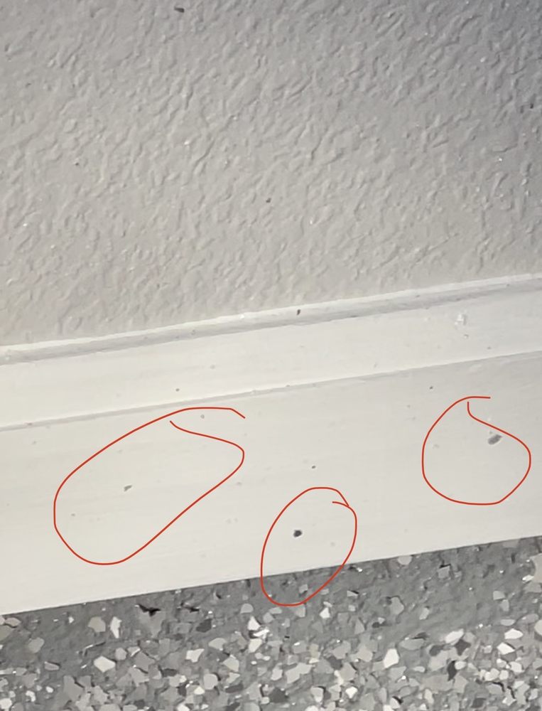 image of business Floor Grip Medic