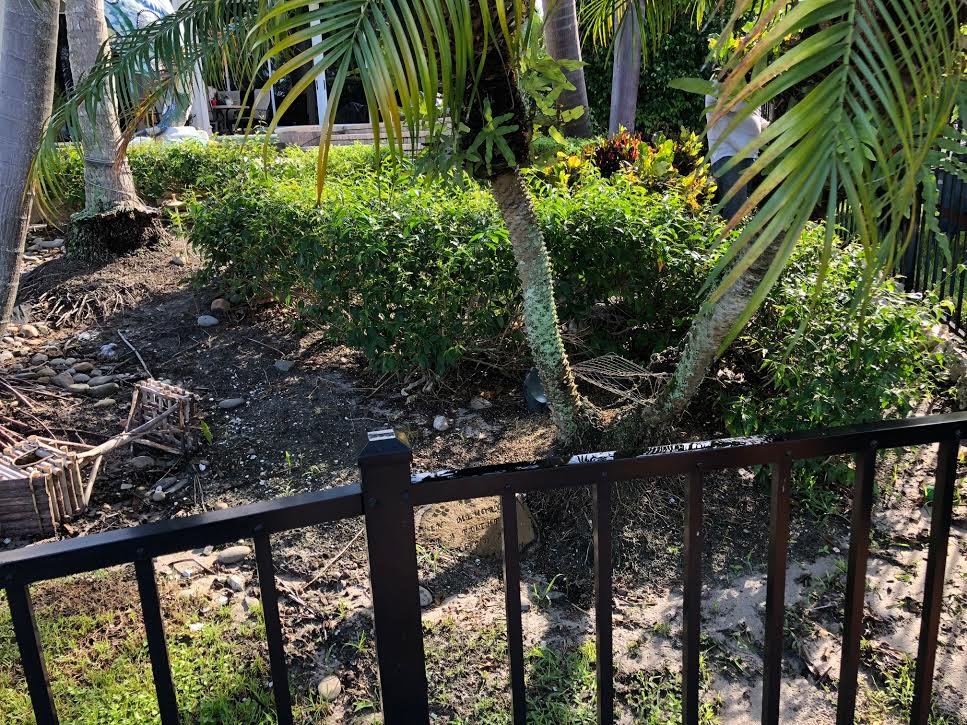 R & W Landscaping Services