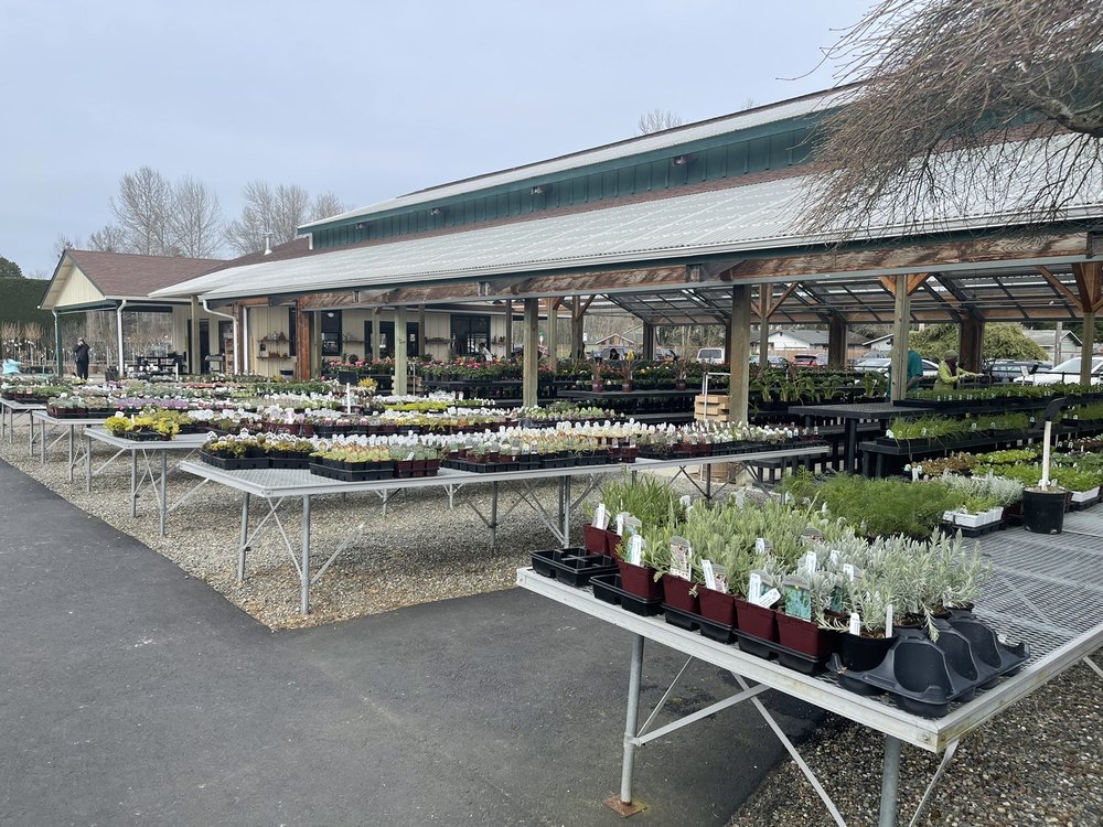 Portland Avenue Nursery