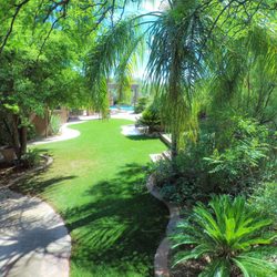 desert valley landscaping landscaping 11150 s nogales hwy