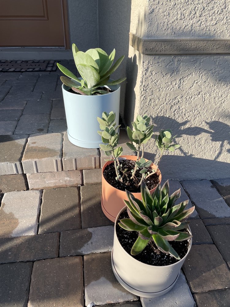 Lindley's Nursery And Garden Center