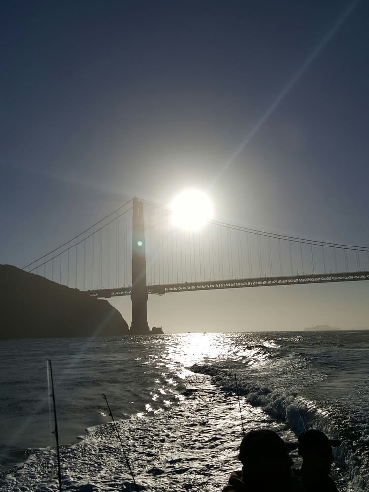charter boat fishing emeryville sea wolf sportfishing boat charters 3310 powell st charter boat fishing emeryville sea wolf sportfishing boat charters 3310 powell st
