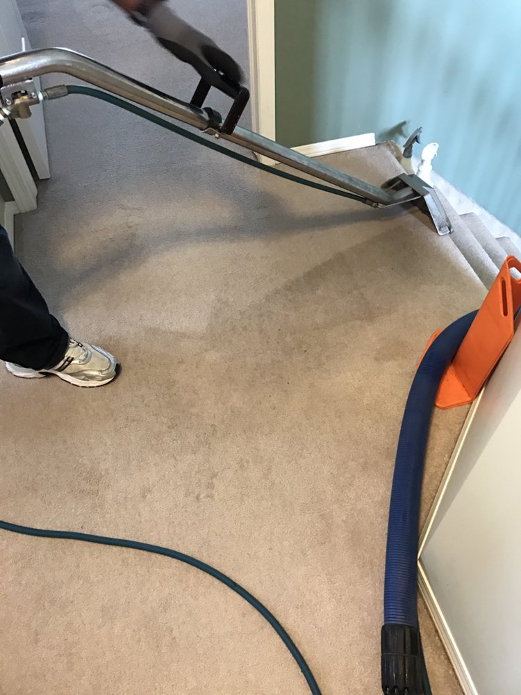 Maple Leaf Carpet Cleaning