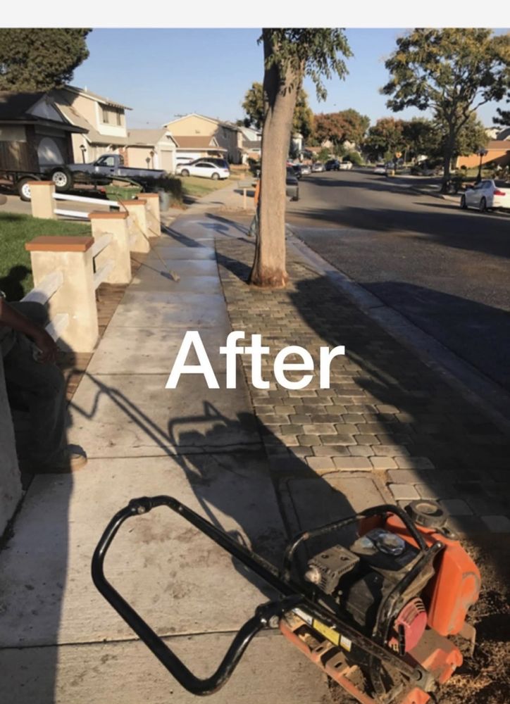 Gutierrez Tree Trimming