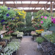Loen Nursery Garden Center New 13 Photos 17 Reviews