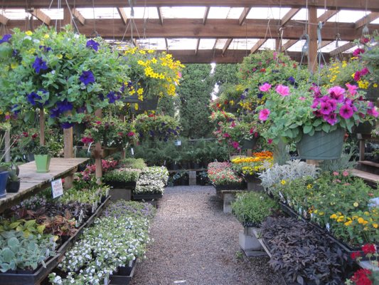 Loen Nursery Garden Center 18710 Sw Pacific Dr Sherwood Or Loen Nursery Garden Center 18710 Sw Pacific Dr Sherwood Or