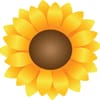 Ms