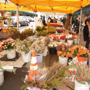 Photo of Alemany Farmers Market - San Francisco, CA, United States