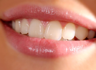 image of business Brian D Ehrman, DDS