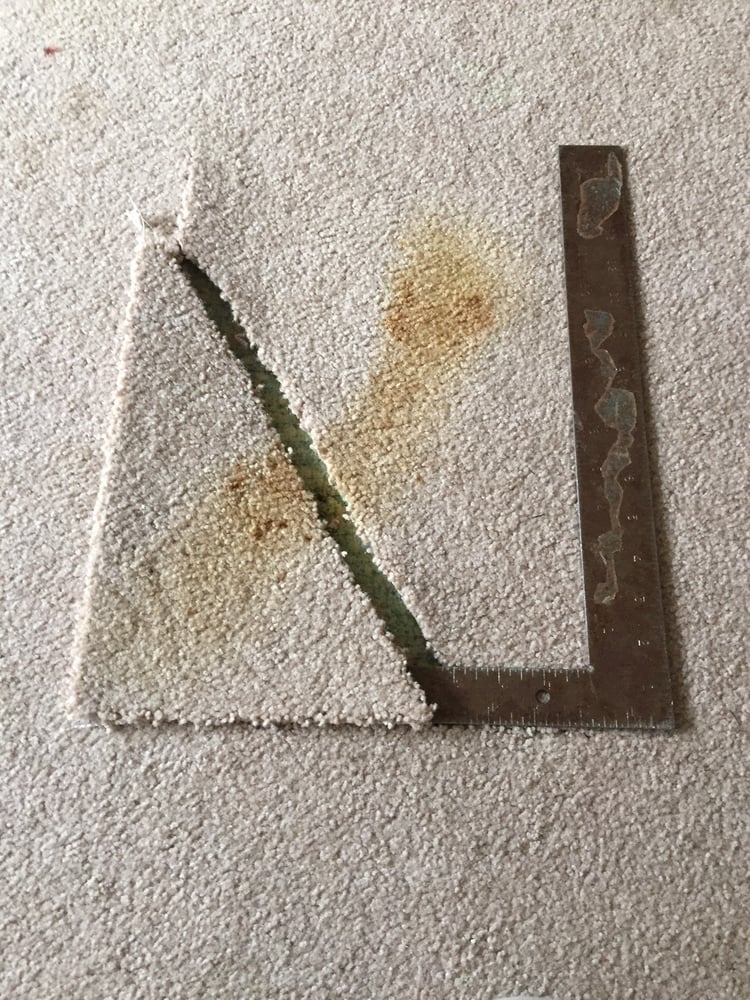image of business Ace Carpet and Vinyl Repair