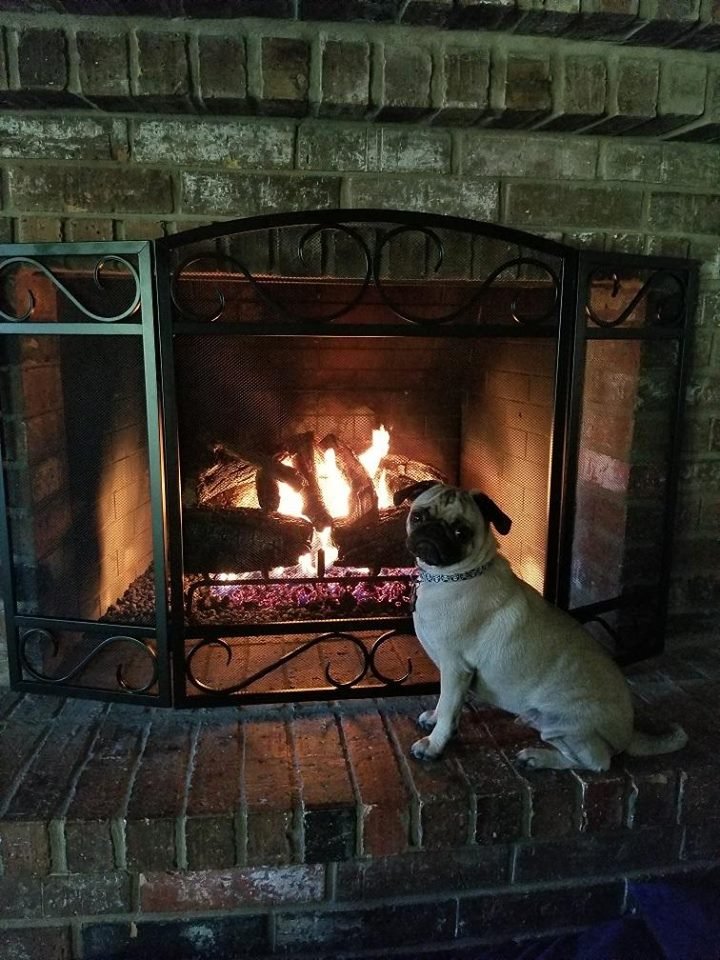Cozy Outdoor Escapes 35 Photos Fireplace Services 403 W Cozy Outdoor Escapes 35 Photos Fireplace Services 403 W Rhapsody Dr San Antonio Tx Phone Number Yelp