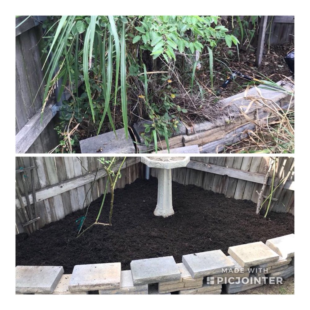 Isaias Gonzalez Landscaping