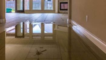 image of business ServPlus