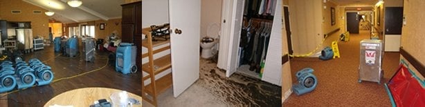 image of business Precision Restoration Solutions