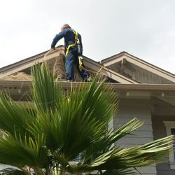 five star pest control braunfels tx photo of five star termite pest control wahiawa hi united states 24 photos 13 reviews five star pest control braunfels tx photo of five star termite pest control wahiawa hi united states 24 photos 13 reviews