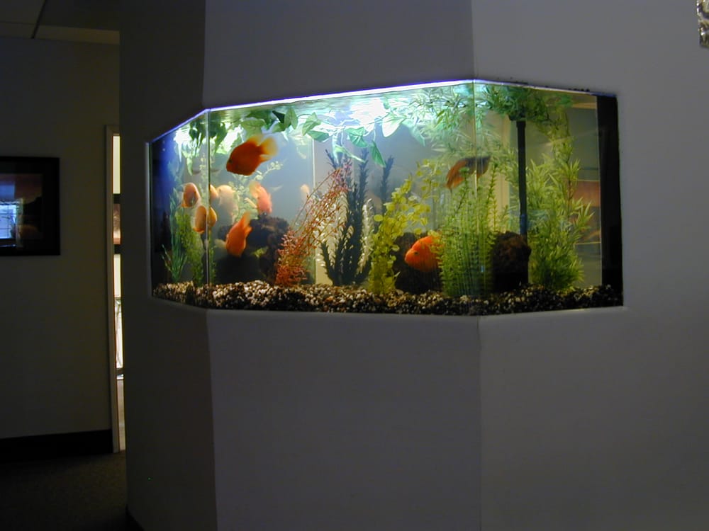 l a home aquariums