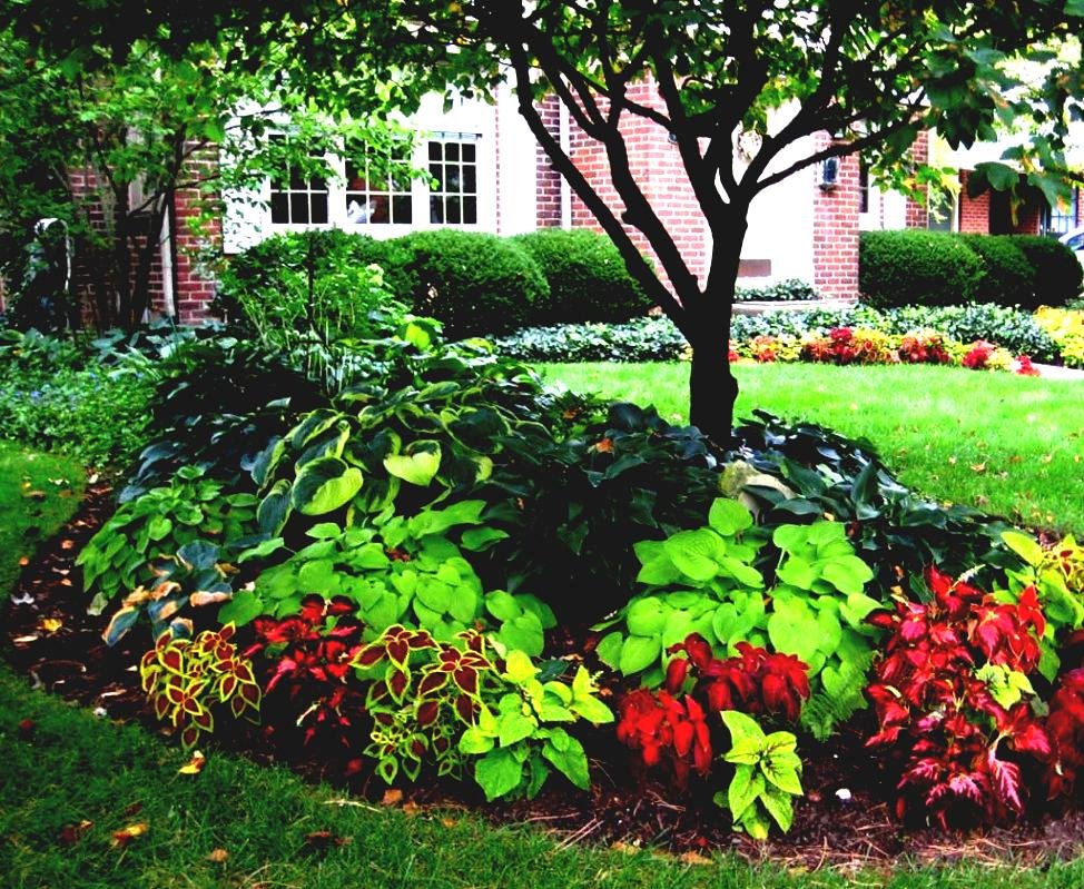 Gan Eden Landscaping