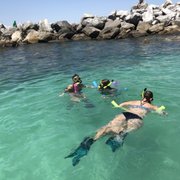 Dolphin And Snorkel Tours 85 Photos 24 Reviews 3824 Photo Of Dolphin And Snorkel Tours Panama City Beach Fl United States