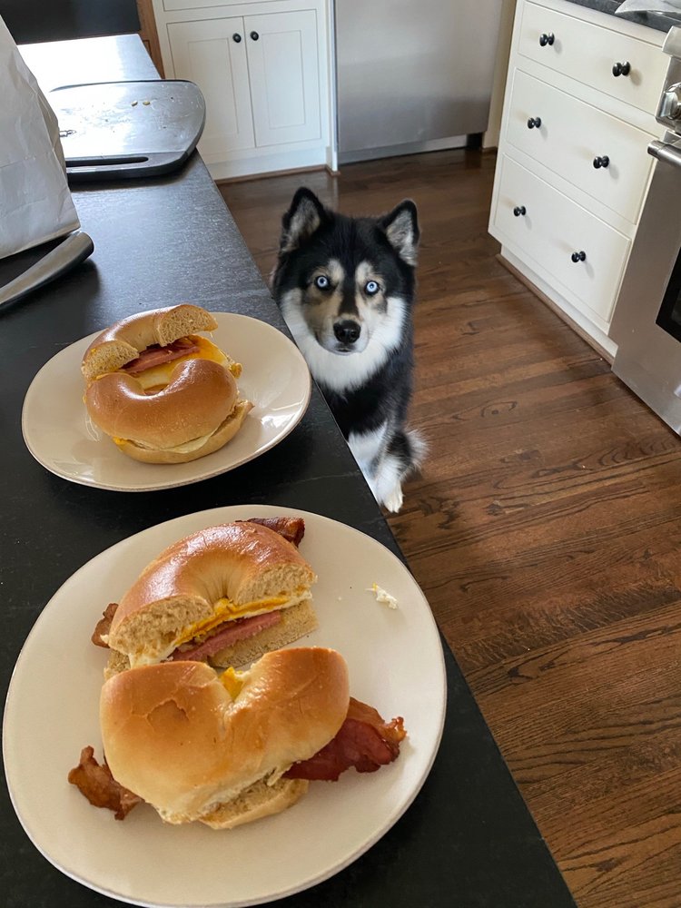 Bender's Bagels