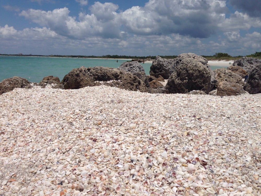 Shell Piles Like Whoa Yelp Photo Of Little Hickory Island Beach Park Bonita Springs Fl United States