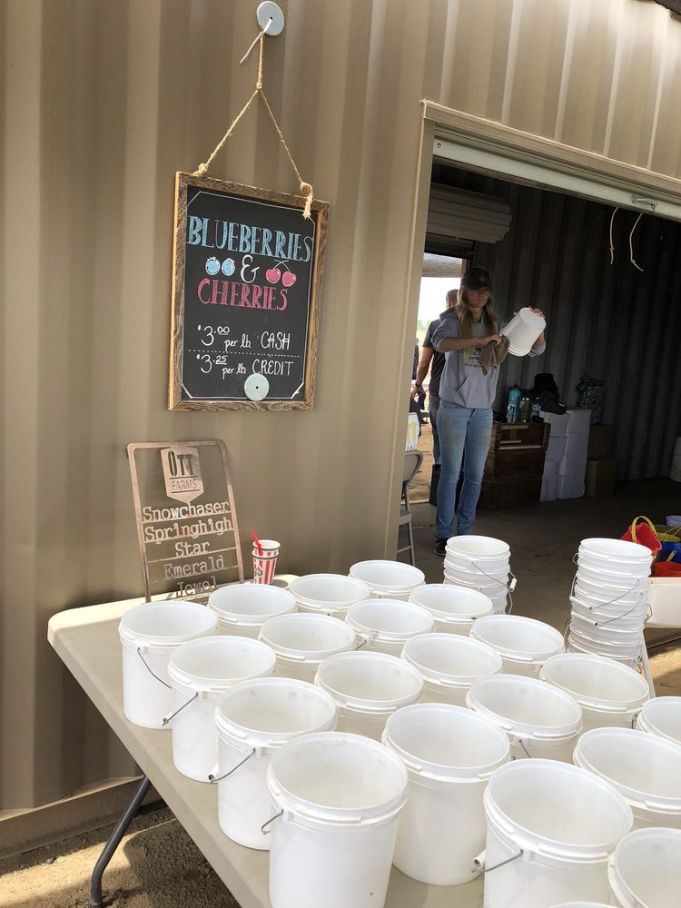 Ott Farms 88 Photos & 25 Reviews Farmers Market 3083 Shiloh Rd