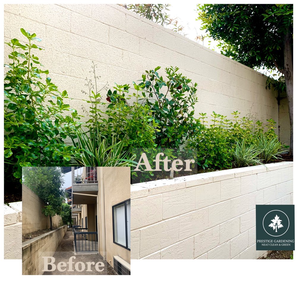 Prestige Gardening Service