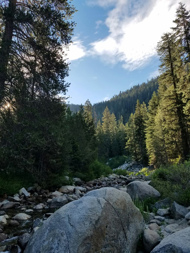 Photo of Lodgepole Campground - Three Rivers, CA, United States. View from site 101