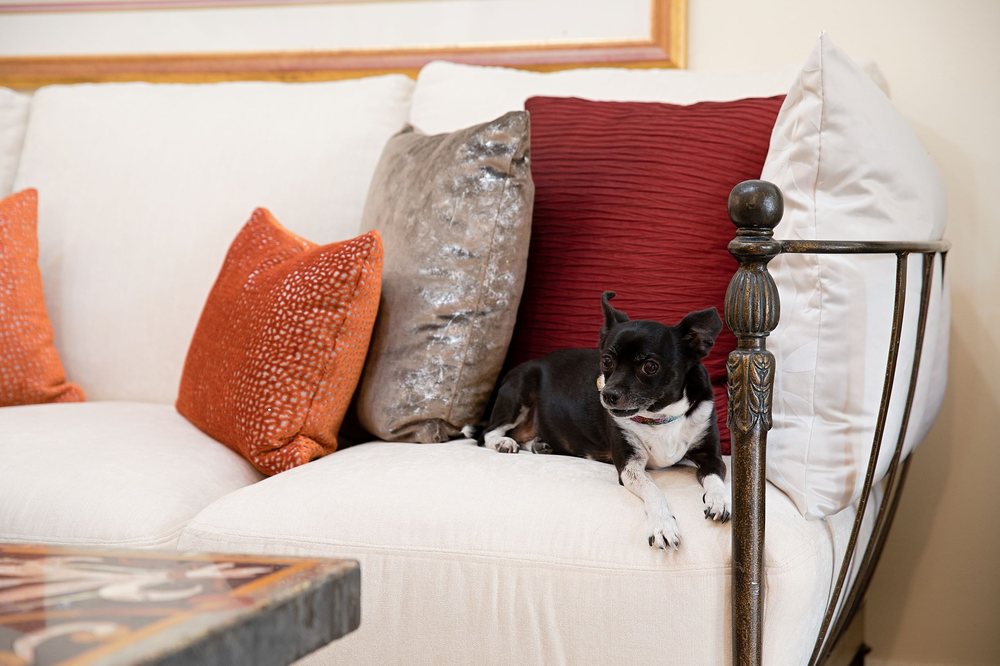 image of business Magy Interiors