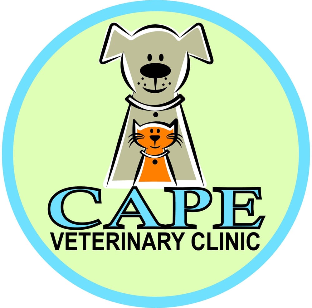 Cape Veterinary Clinic 18 Reviews Veterinarians 391 Cottage Rd