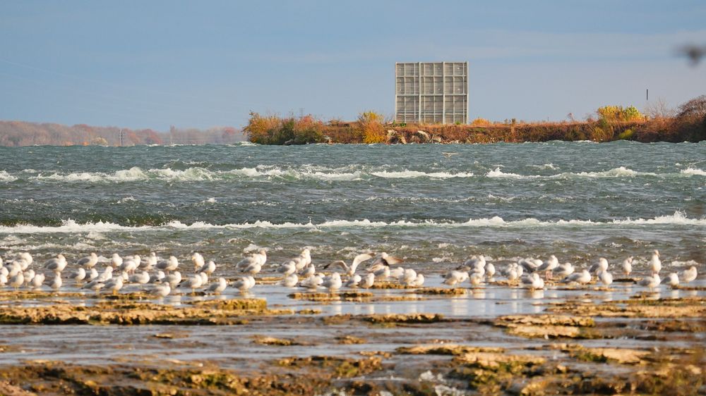 Niagara River