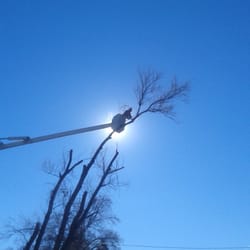 Atlas Tree Service Landscaping 4874 S 300th W Murray Salt Lake Photo Of Atlas Tree Service Salt Lake City Ut United States Elevator