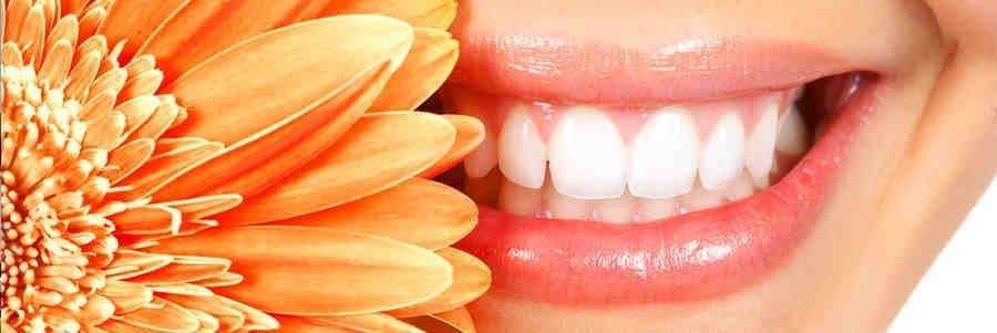 image of business Hauppauge Family Dental Care: Eugene Avrash, DDS