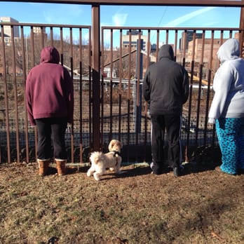 Nice Dog Parks In New Haven Nice Dog Parks In New Haven