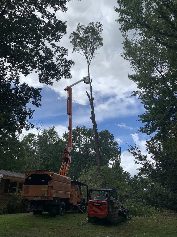 Mel Tree Service