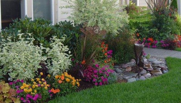 South FL Eco-Friendly Landscapes - Landscaping - Hollywood, FL Photo of South FL Eco-Friendly Landscapes - Hollywood, FL, United States - South FL Eco-Friendly Landscapes - Landscaping - Hollywood, FL