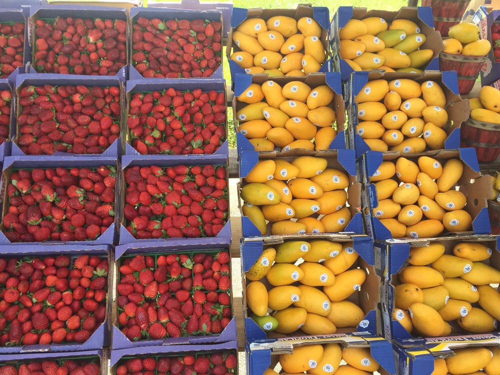 Plant City Strawberries 2019 All You Need to Know BEFORE You Go (with