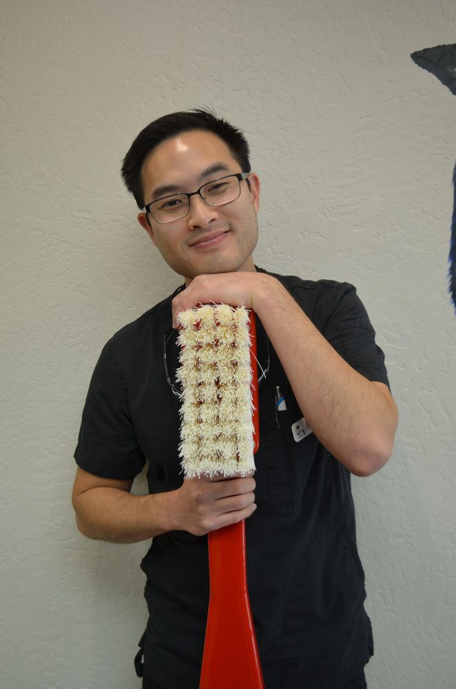 image of business General Dentistry 4 Kids - Valencia