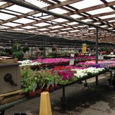 Bates Nursery And Garden Center 22 Photos 20 Reviews Nurseries Photo Of Bates Nursery And Garden Center Nashville Tn United States