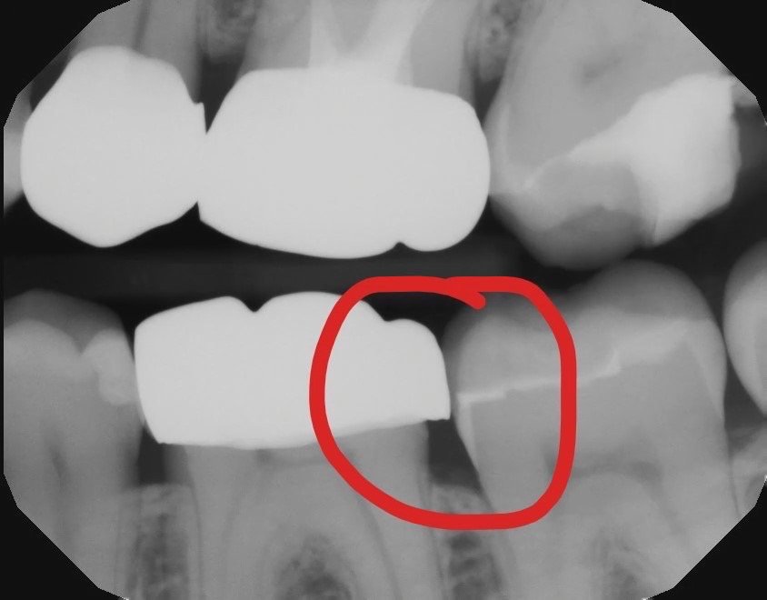 image of business Rita Metrikin, DDS