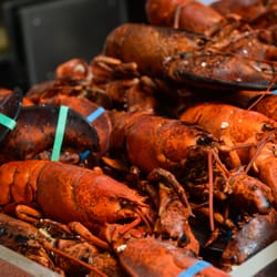 The Lobster Place 2612 Photos 1213 Reviews Seafood Markets Photo Of The Lobster Place New York Ny United States