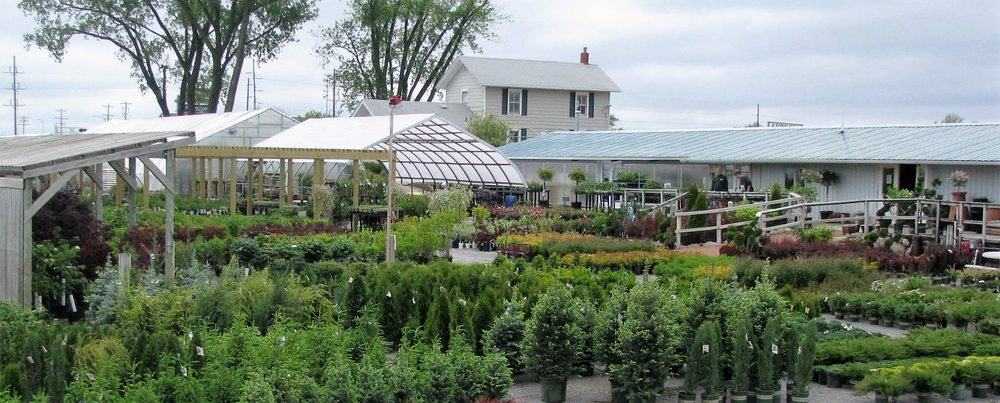 Forever Green Nursery With The Widest Selection Of Trees Shrubs Photo Of Forever Green Iowa City Ia United States Nursery