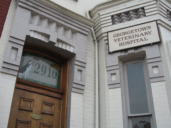 Veterinary Hospital Veterinarians 2916 M St NW