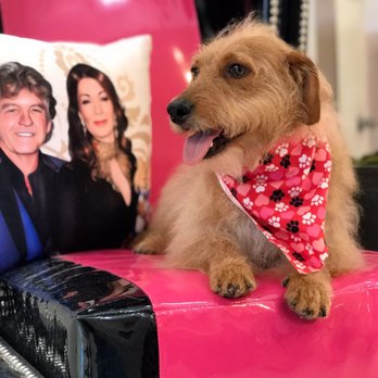 Photo of Vanderpump Dogs - Los Angeles, CA, United States. Can't wait to go back!