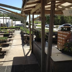 B Greenhouses Closed Nurseries Gardening 4200 S 1st St Photo Of B Greenhouses Lincoln Ne United States Checking Out